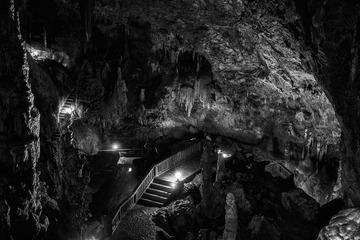 _DSC2252