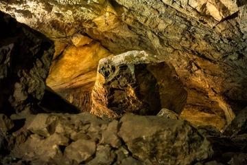 _DSC2263