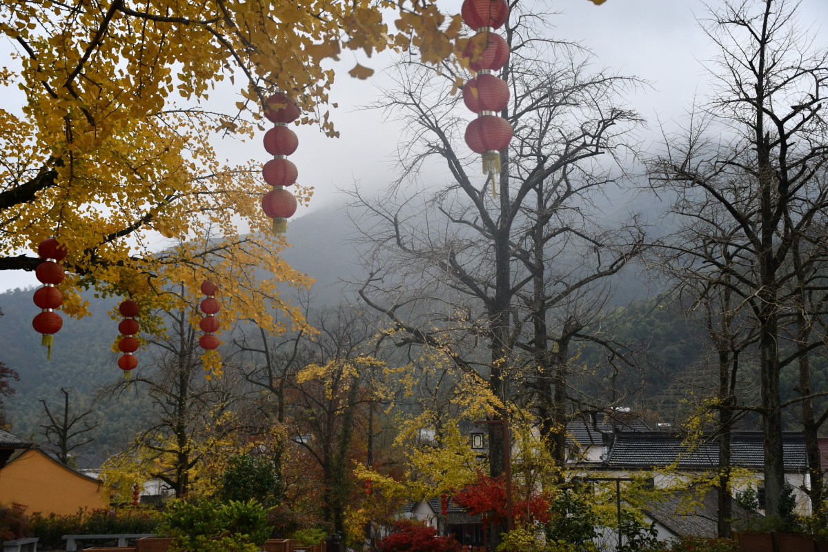 浙江长兴八都岕