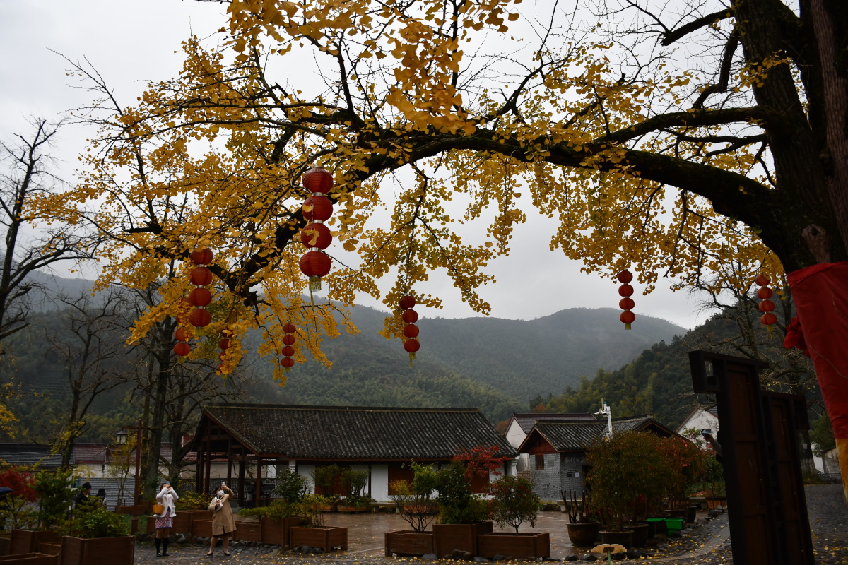 浙江长兴八都岕