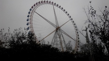 131