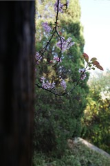 73F57988-78F9-49F3-A77E-6B39CE2C80F8/L0/001