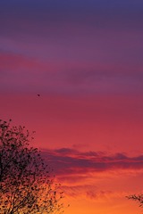 7F1CE9CD-BF73-46DD-BE63-6D2CA011304C/L0/001