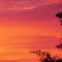 88B15705-2C88-4072-AF22-10E07D0F48D4/L0/001