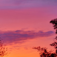 5C1AF289-B42A-46EE-AD6B-ECCE7E22550F/L0/001