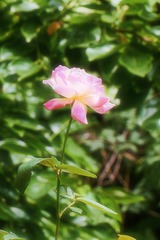 B3642F62-C5FB-4A6B-A3C1-DA8E313DD02F/L0/001