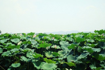 dsc04103_副本.jpg