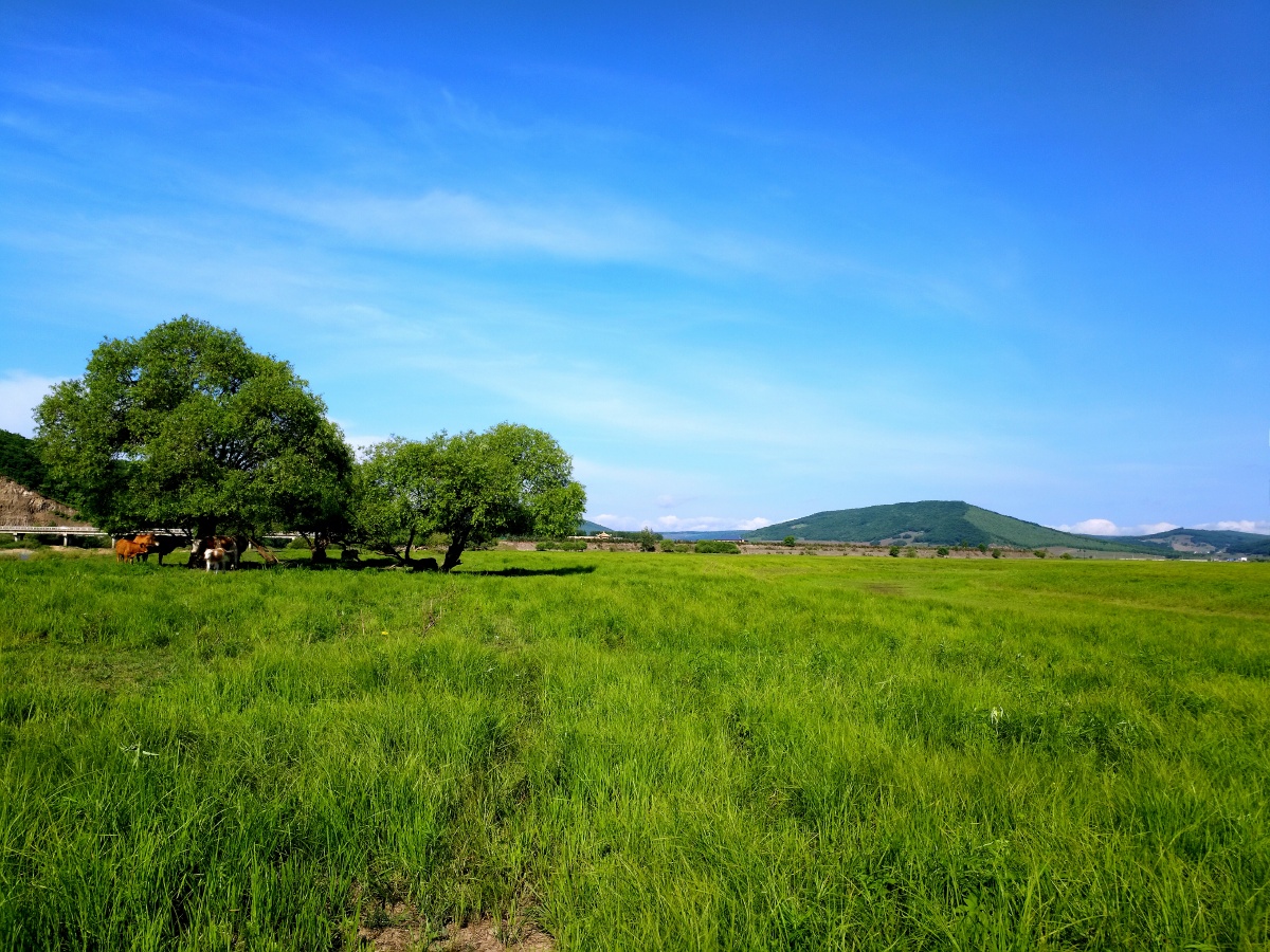 风光 长白山 湿地