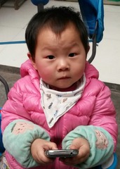 23033