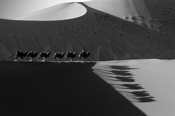 “_DSC8027”为智能对象-1.jpg