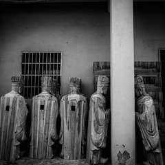 _9180468-编辑.jpg
