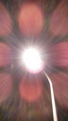 3429