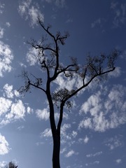 700EB5B0-F825-4D33-884A-E61AC3358FF2/L0/001