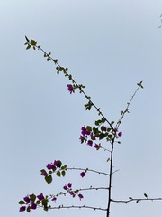 D46C0C5F-6AD6-4DEE-83E1-8FA5B8242CA2/L0/001