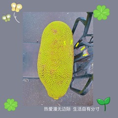 27566181-AD76-4966-BA10-FAB11A686AF8/L0/001