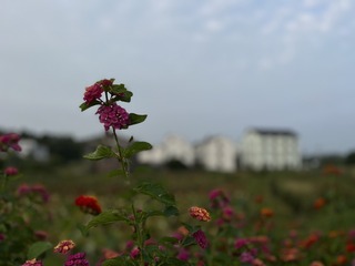 47E0C33B-216C-4255-8DF9-8493F6A92761/L0/001