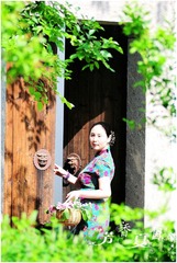 2012-04 西溪福堤王燕41a.jpg
