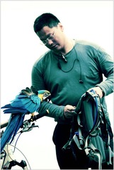鹦鹉6.jpg