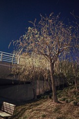 P1090144