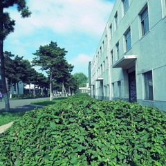 R0012710.JPG