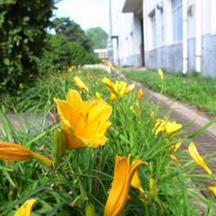 R0012715.JPG
