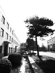R0012728.JPG