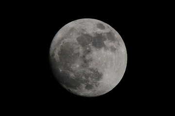 DSC_2168.JPG