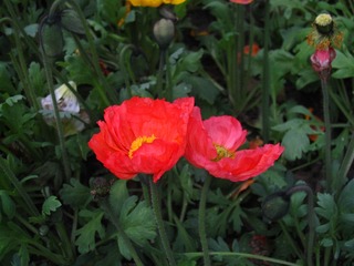 706CDFAA-1FB3-470C-8D13-23AD147DBD1C/L0/001