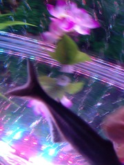 C3ADEE79-63C4-4B06-B3D0-2510F6A28A8E/L0/001