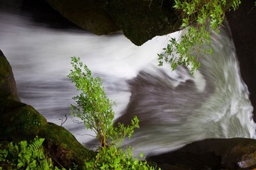 IMG_9833.jpg