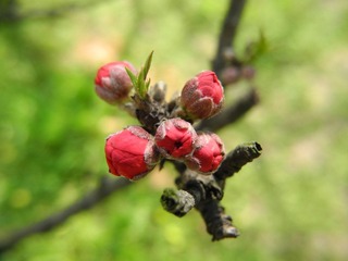 DSCN3310.JPG