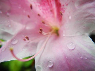 DSCN3802.JPG
