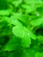 DSCN3861.JPG