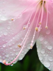DSCN38241.jpg