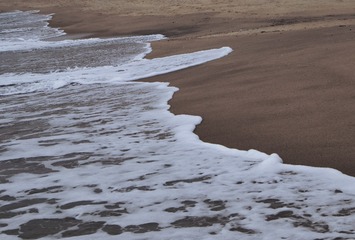 E607B5A2-41E4-47D7-9BCC-68E1057D5C11/L0/001