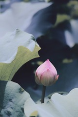 A76BA292-A655-4ABA-9239-4ED95A3B5F7C/L0/001