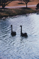 739B367E-BEA1-465E-BBDA-186377C0E203/L0/001