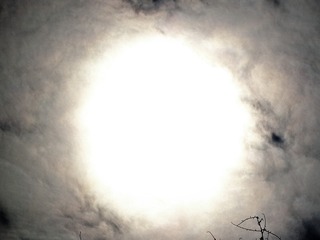 131566