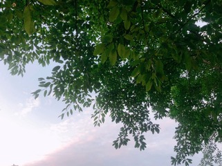 A44C872F-752F-48C3-BD67-DB76FF27386B/L0/001