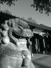 WP_000709.jpg