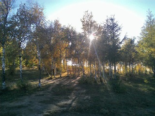 WP_000869_HZP.jpg