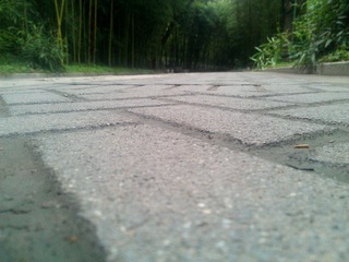 WP_000980.jpg