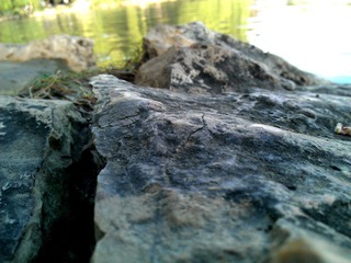 WP_000995.jpg