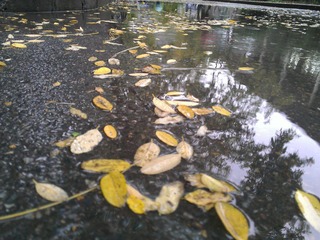 WP_001035.jpg