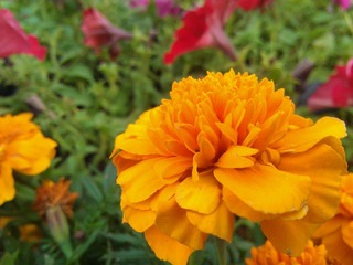 WP_001051.jpg