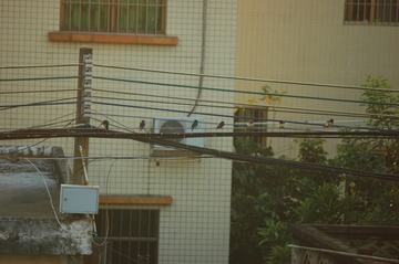 B04E7DB3-C820-4A1C-A04A-F833C6A3DB0C/L0/001