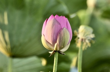 37DF073E-CF81-4732-8BD8-039750F27E62/L0/001