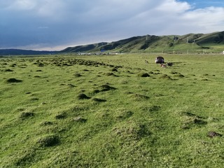 2045736