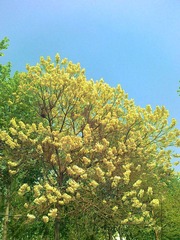 201204132925.jpg