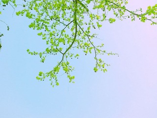 201204172943.jpg